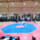 용인대 SK 태권도 이미지