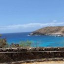 하와이약국 이미지