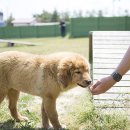 오수의견관광지 이미지