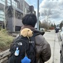 [4월 여행] 🇨🇦1박 2일 밴프, 캔모어 여행 코스 추천과 옷차림 (캘거리 렌트카 출발, 맛집, 무료주차...
