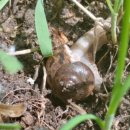 태평농장 이미지