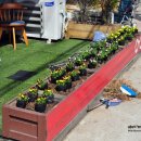 시우네 안경가게 이미지