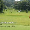 조광컨트리 매일경제