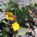 사)대구광역시장애인부모회 이미지