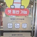 타임스퀘어(남부점) | 동탄 애견 동반 쇼핑몰 추천, 강아지와 함께 쇼핑하기 좋은 동탄 타임 테라스 방문 후기