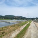 일부1리 이미지