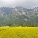 서씨농장 이미지