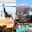 고고 | 후쿠오카 렌트카 근교소도시 가족 일본여행 버스대신 고고투어 후기