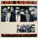 [1349~1350] Los Lobos - Donna, La bamba (수정) 이미지