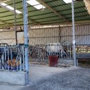 운산리축사 이미지