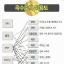 GMO 대한민국, 백년 안에 사라질 수 있다 이미지