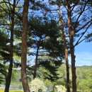 근포항 | 거제 장사도 근포항에서 유람선 타고 가는 여행 후기