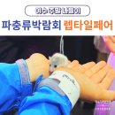 파충류 박람회 일정 여수 렙타일페어 생생한 현장 후기