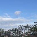 안성내츄럴리조트 이미지