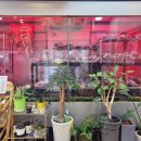 연지축산 이미지