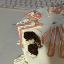 히멜케이크 | <의정부역 케이크 추천> 크리스마스 생화 케이크 맛집 히멜케이크 후기