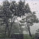 구담경로당 이미지