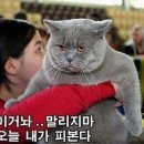 정은이네 이미지