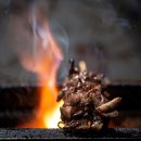 야키토리 화화 | 용인 광교상현역 / 야키토리화화