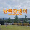 강생이천국 이미지