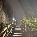 응봉산 팔각정 | 서울 개나리 명소 응봉산 팔각정 야경 가는법 주차장