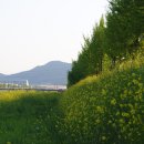 명곡천 이미지