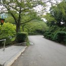 한라수목원 이미지