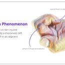 심지한의원 이미지