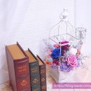 파랑새장 이미지