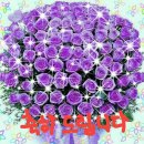 추카추카케이크