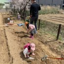 흙뿌리 농장 이미지