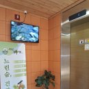 지리산황토휴양펜션 | 깨끗하고 편안했던 지리산펜션, 지리산나무처럼 이용 후기