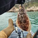 루어낚시닷컴 이미지