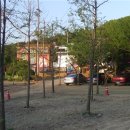 초원한우 이미지