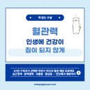 혈관 건강 지키는 방법을 알려주는 혈관력 독서 후기