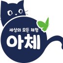 주식회사 아체