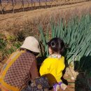 봉바위농원 이미지