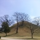 140324 경주 1차 답사(구곡지~용강동 고분~탈해왕릉~대릉원) : 최단거리 7.5km 이미지