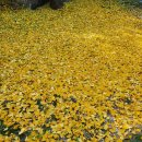 서학동예술마을 이미지