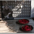 통영등대낚시공원 이미지