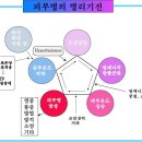 경희피레토한의원 이미지