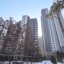 새마을공인중개사사무소 이미지