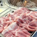 대끼리 | 포항 양덕동고깃집 맛집 끝내주는 꼬들살 대끼리꼬들