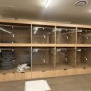 펫라운지 애견미용 애견호텔 이미지