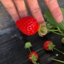 율하엘리트태권도장 이미지