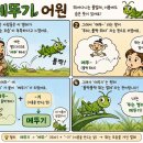 8월12일 공학여지도219 : 메뚜기 이미지