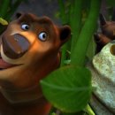 슈퍼베어 이미지