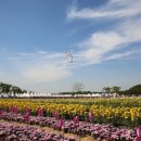 서구-01-61 이미지