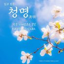 청명 - 세종특별자치시 | 청명
