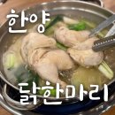 한양닭한마리